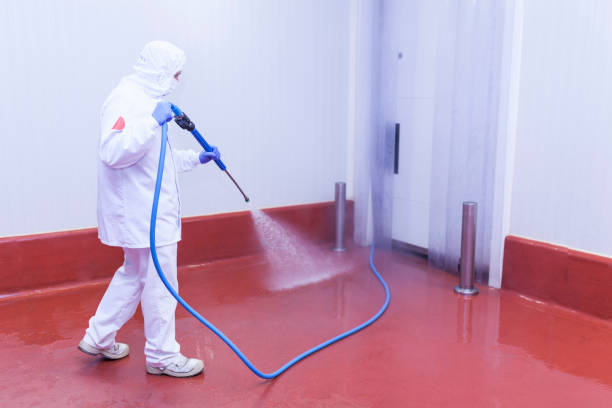 Best Heavy Equipment Washing  in Eldorado, IL
