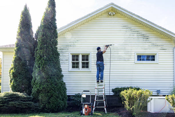Best Driveway Pressure Washing  in Eldorado, IL