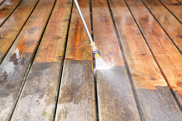 Best Animal Enclosure Cleaning  in Eldorado, IL